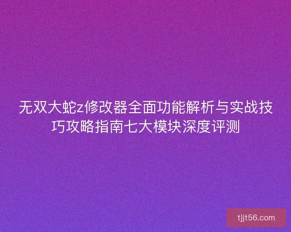 无双大蛇z修改器全面功能解析与实战技巧攻略指南七大模块深度评测
