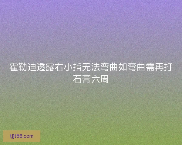 霍勒迪透露右小指无法弯曲如弯曲需再打石膏六周