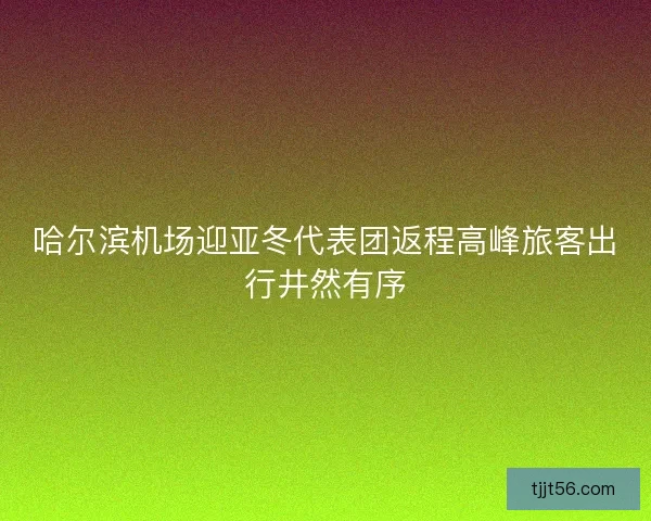 哈尔滨机场迎亚冬代表团返程高峰旅客出行井然有序