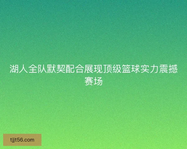 湖人全队默契配合展现顶级篮球实力震撼赛场